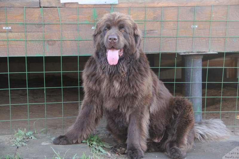 Фотография № 239703