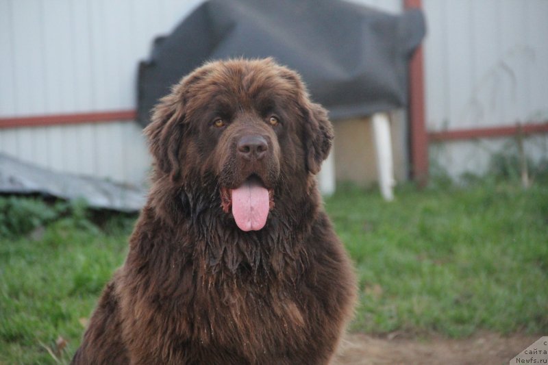 Фотография № 239704