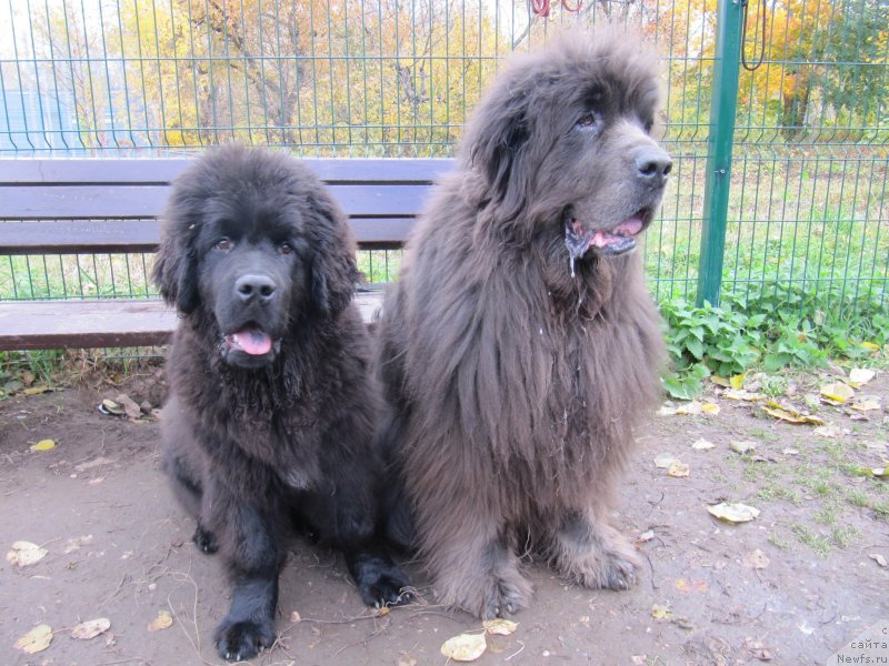 Фотография № 239723