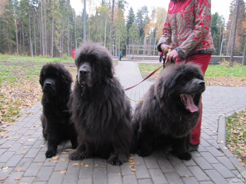 Фотография № 239727