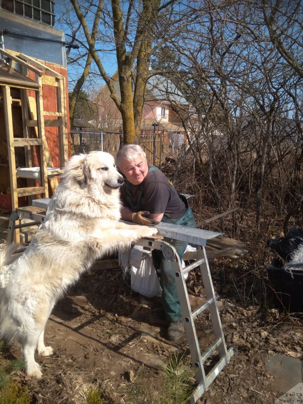 Фотография № 239766