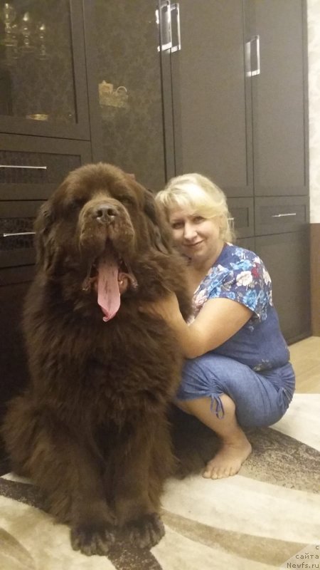 Фотография № 239854