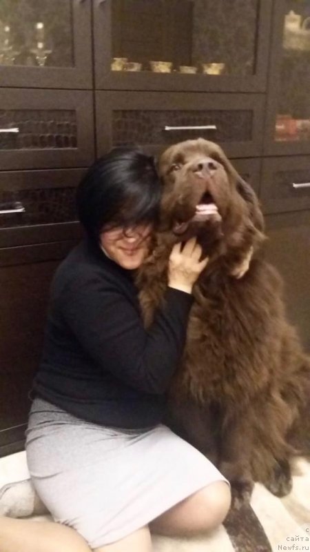 Фотография № 239856