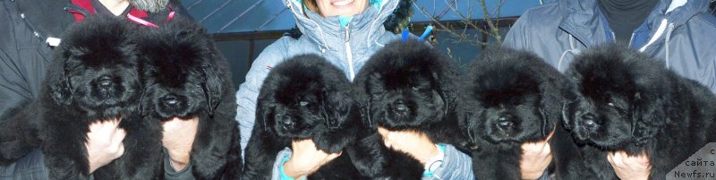 Фотография № 239911