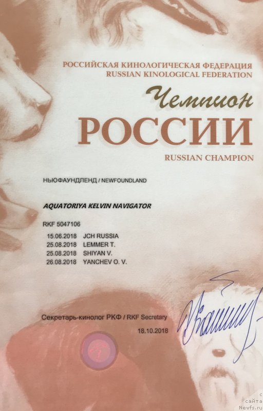 Фото: ньюфаундленд Aquatoriya Kelvin Navigator (Акватория Келвин Навигатор)