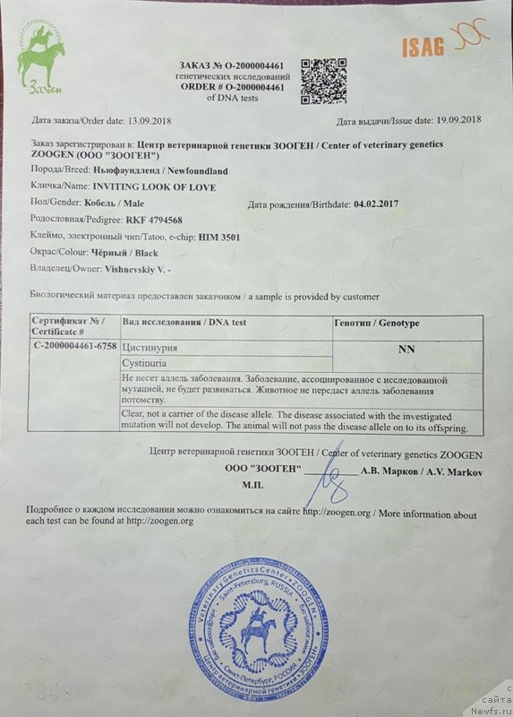 Фото: ньюфаундленд Inviting Look of Love (Инвайтинг Лук оф Лав)