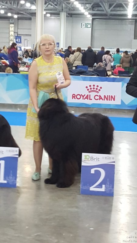 Фотография № 240025