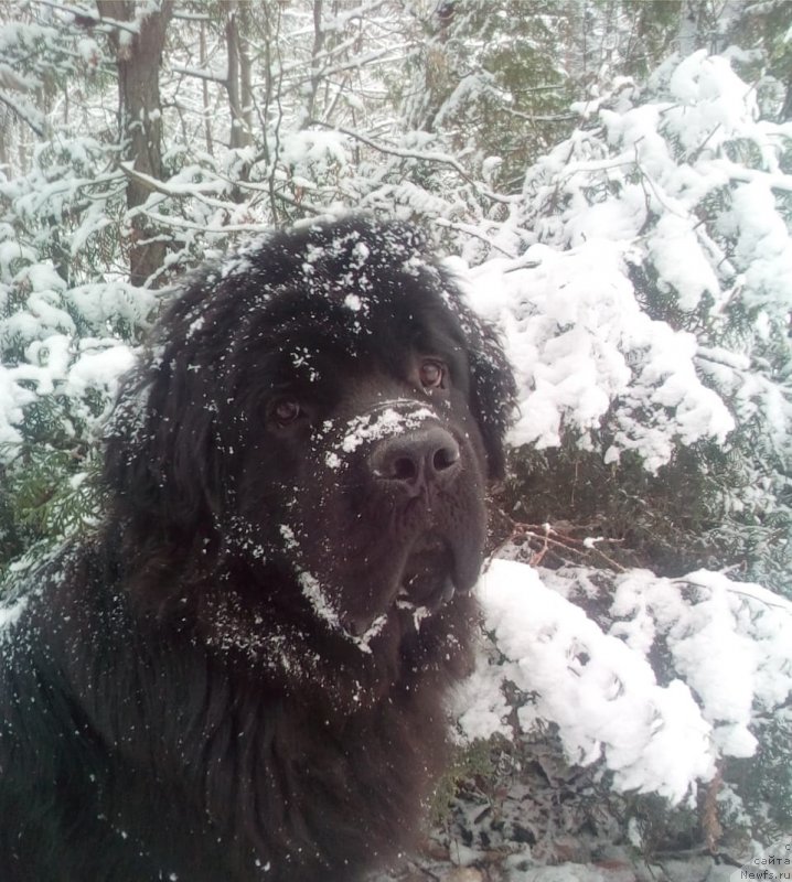 Фотография № 240029