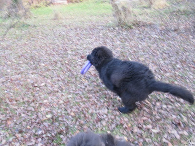 Фотография № 240048