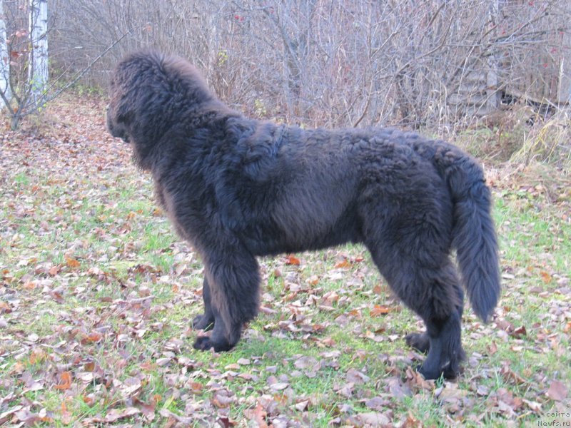 Фотография № 240056