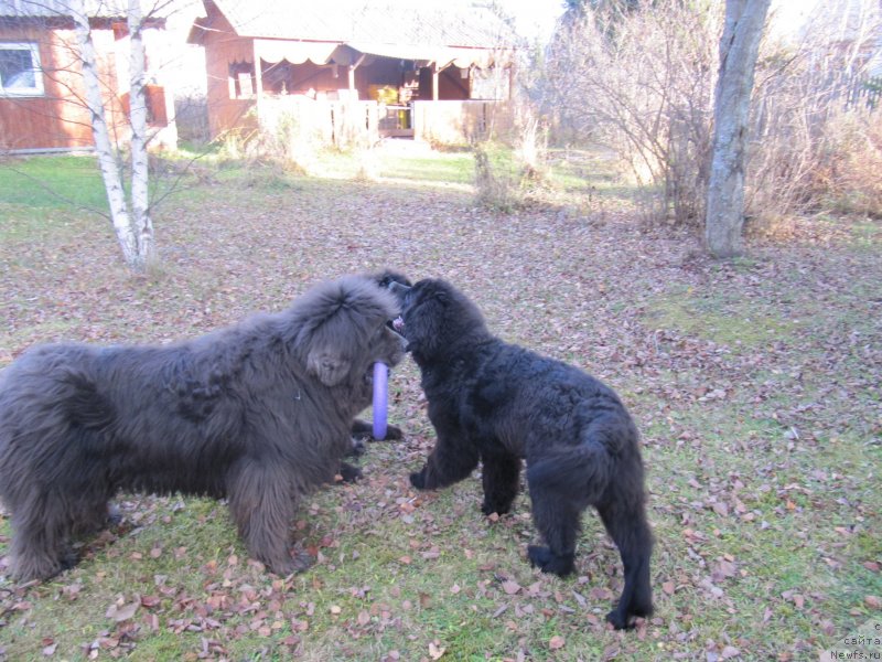 Фотография № 240070