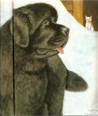 Фотография № 240118