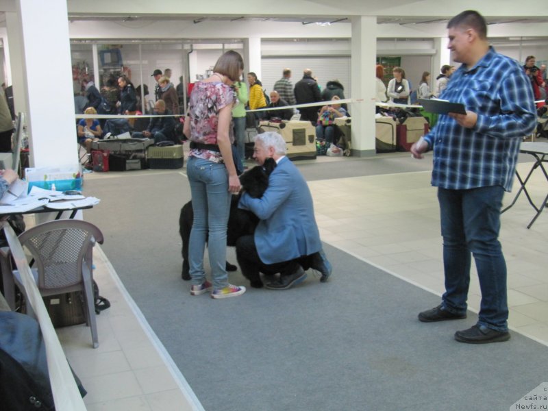 Фотография № 240125