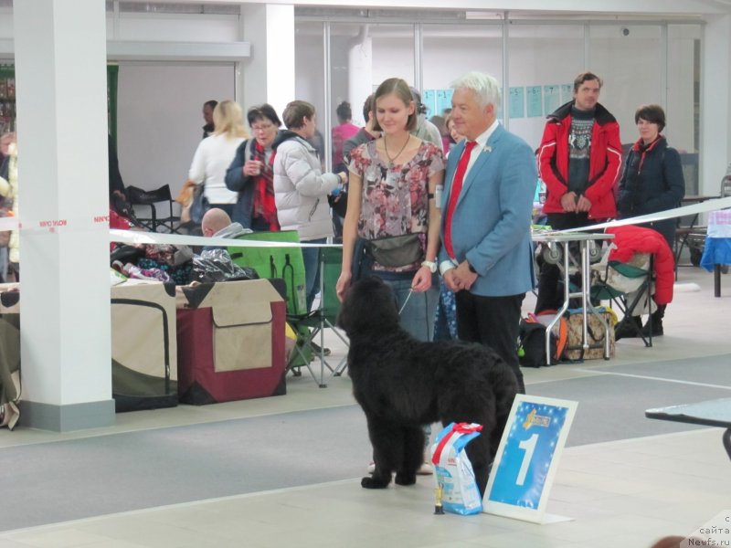 Фотография № 240128