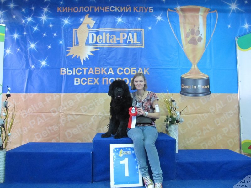 Фотография № 240130