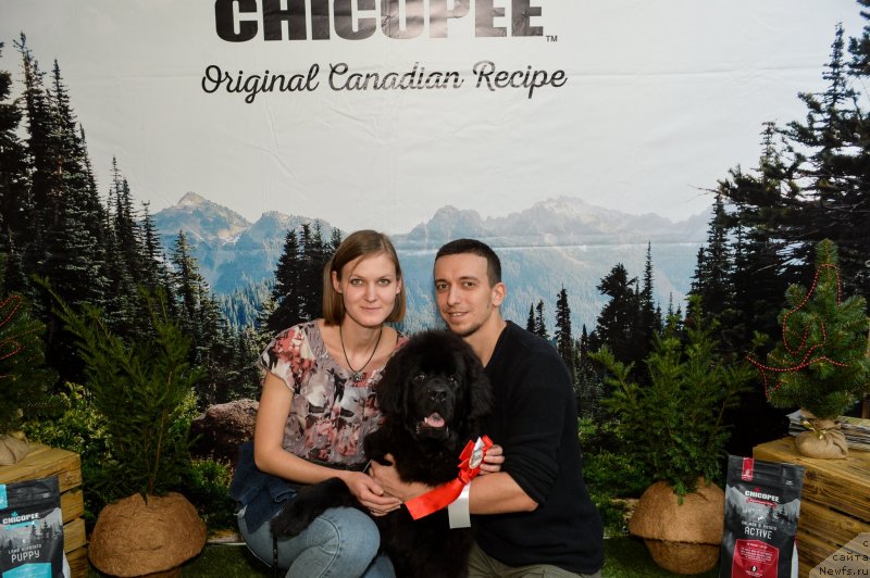 Фотография № 240171