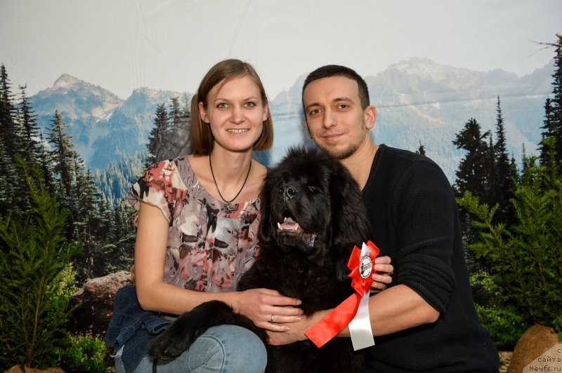 Фотография № 240172