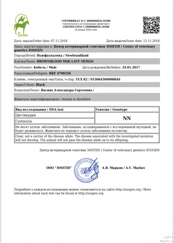 Фото: ньюфаундленд Brownblood MSK Lavy Neman (Браунблад MCК Лави Нэман)