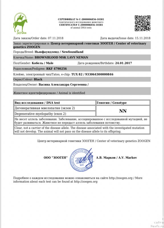 Фото: ньюфаундленд Brownblood MSK Lavy Neman (Браунблад MCК Лави Нэман)