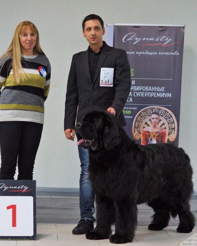 Фотография № 240179