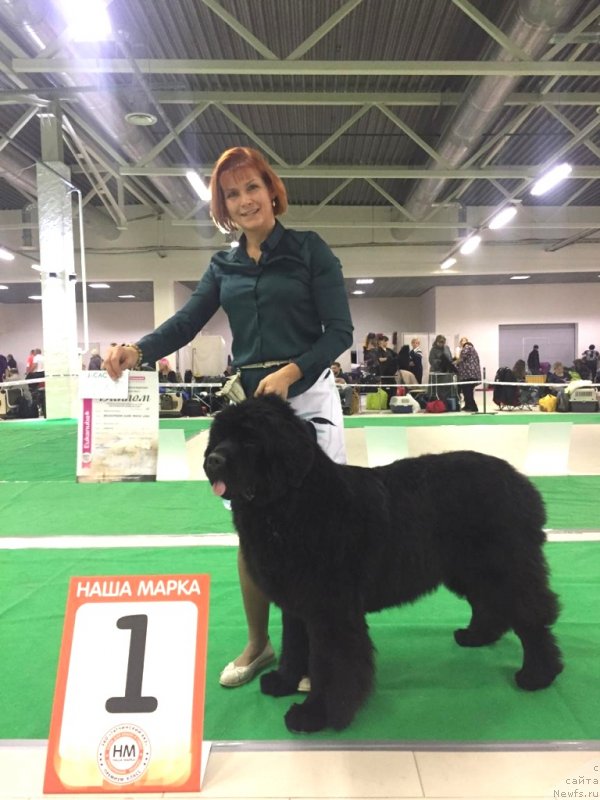 Фотография № 240208