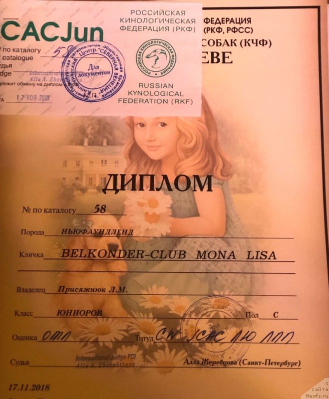 Фотография № 240213