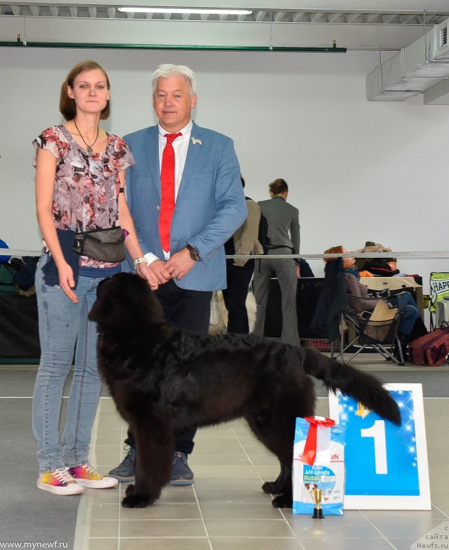 Фотография № 240221