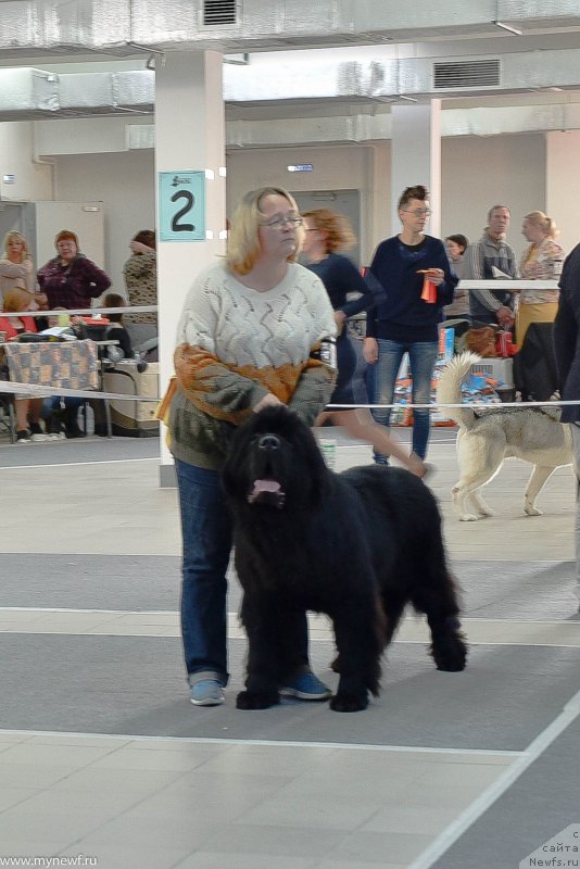 Фотография № 240225