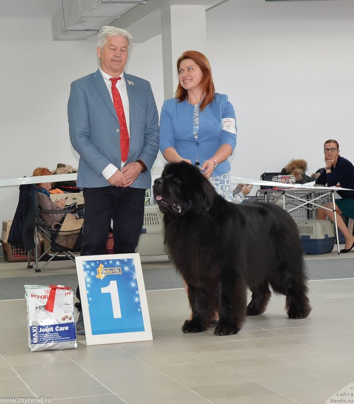 Фотография № 240232