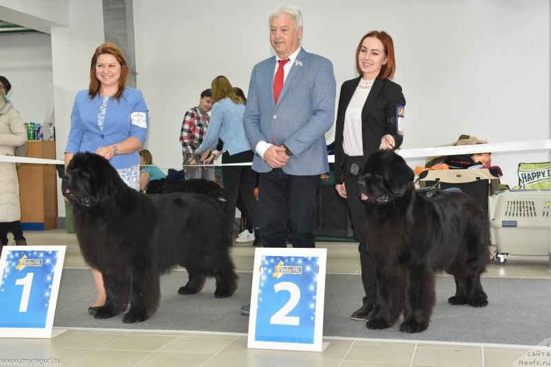 Фотография № 240233