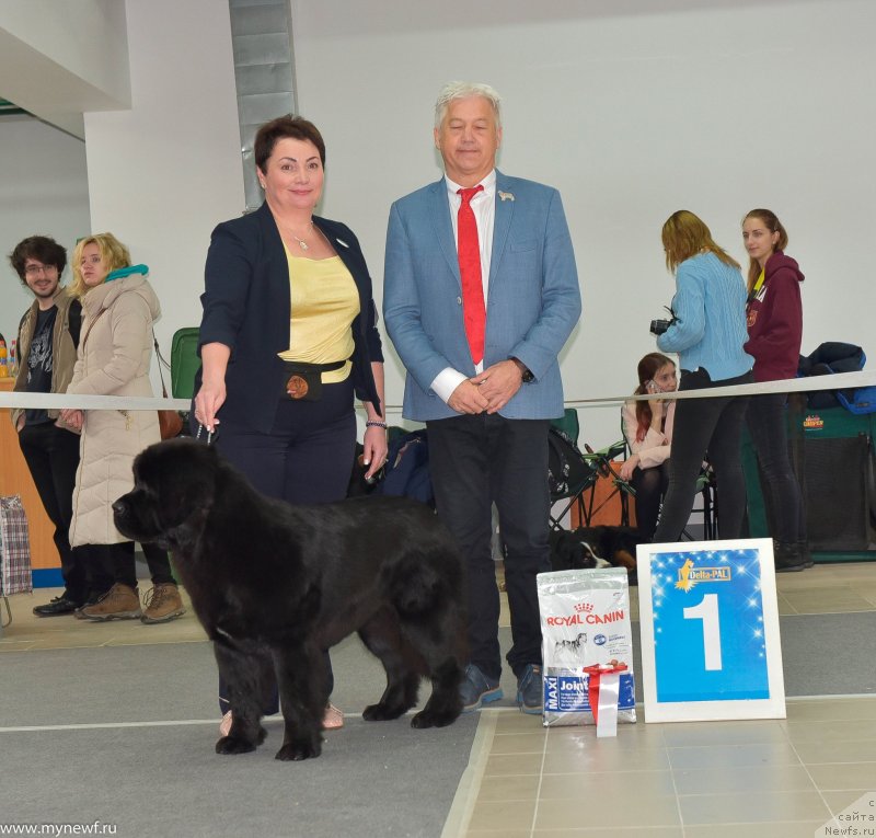 Фотография № 240234