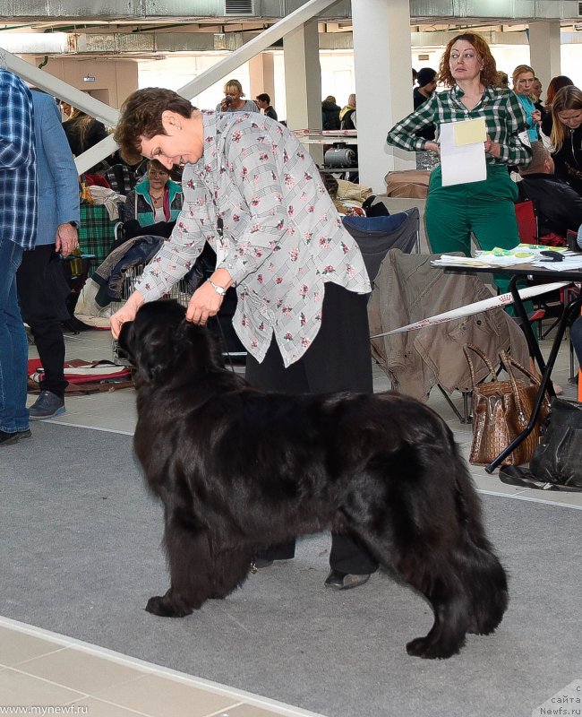 Фотография № 240235