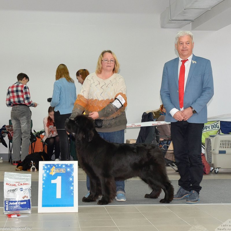 Фотография № 240236