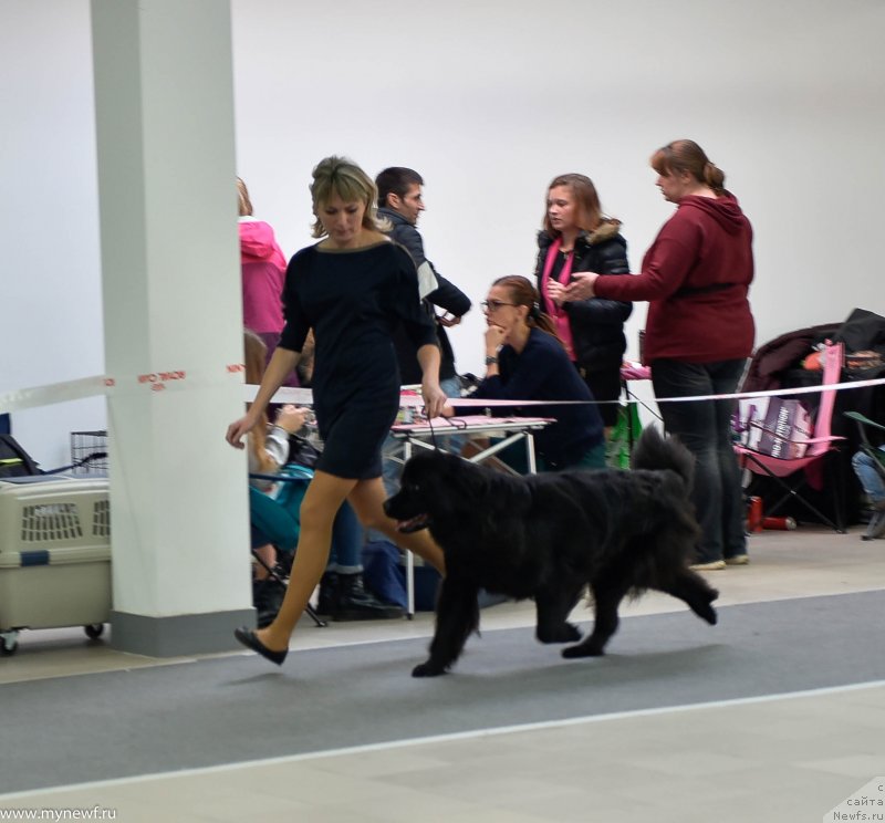 Фотография № 240238