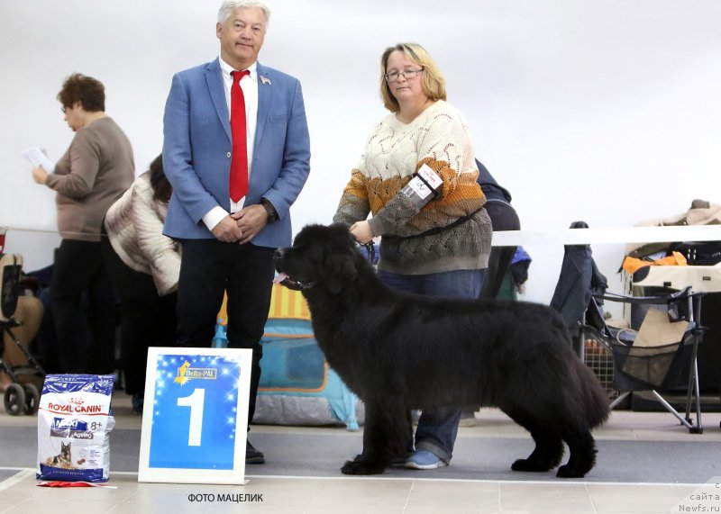 Фотография № 240241