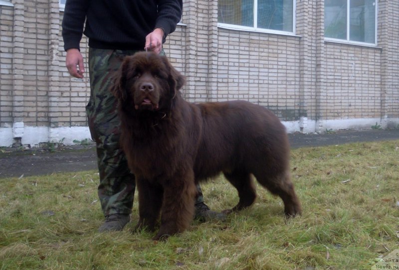 Фотография № 240246