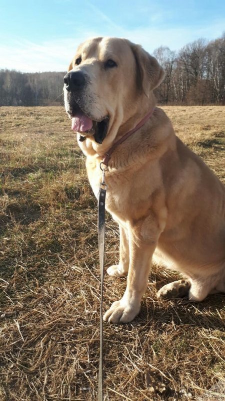 Фото: Lena Zyirina (Лена Зырина)