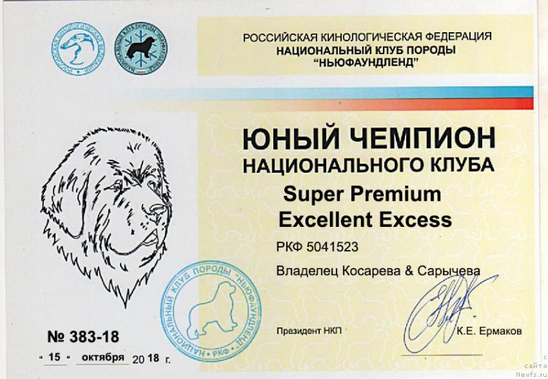 Фото: ньюфаундленд Super Premium Excellent Excess (Супер Премиум Экселенс Эксесс)