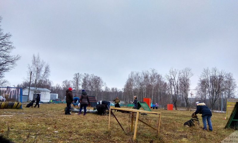 Фото: ньюфаундленд Sent Djons Larel Leolanda (Сент Джонс Ларель Леоланда), ньюфаундленд Piternyuf Cronos Lord of Time (Питерньюф Кронос Лорд оф Тайм), ньюфаундленд YEverest iz Antagrada (Эверест из Антаграда), Робин, Траст, Урлик