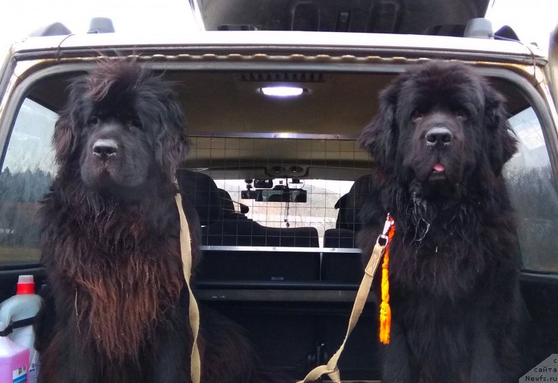 Фотография № 240252