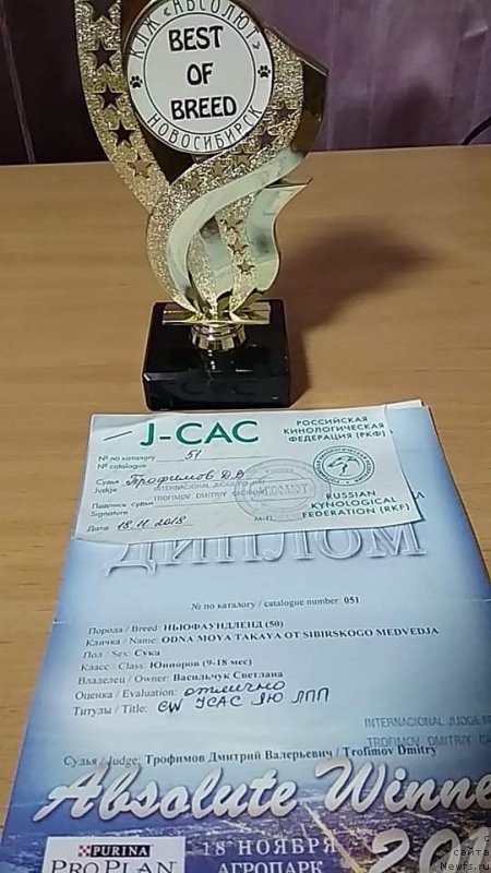 Фото: Одна Моя Такая от Сибирского медведя.