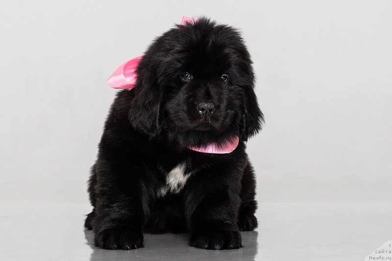 Фото: Ясно Солнышко Ясмина