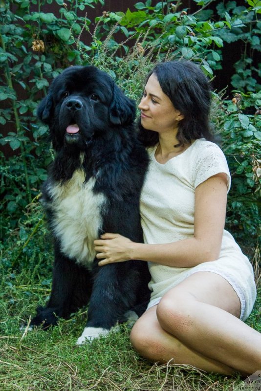 Фотография № 240278