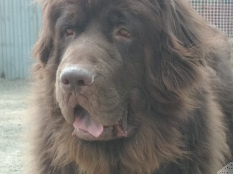 Фотография № 240281