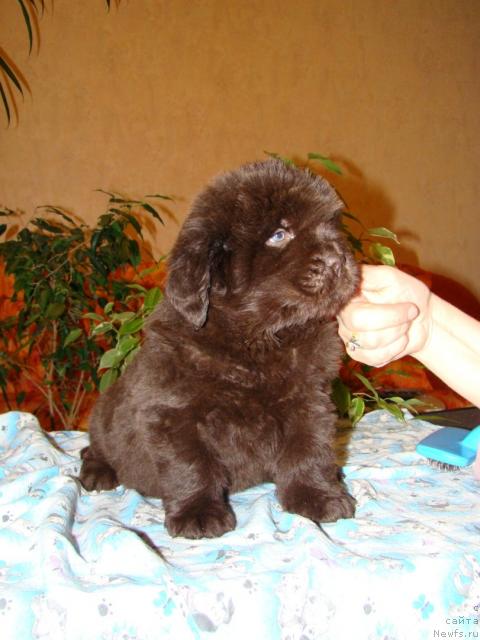 Фотография № 24029