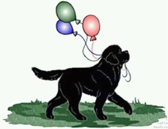 Фотография № 240318