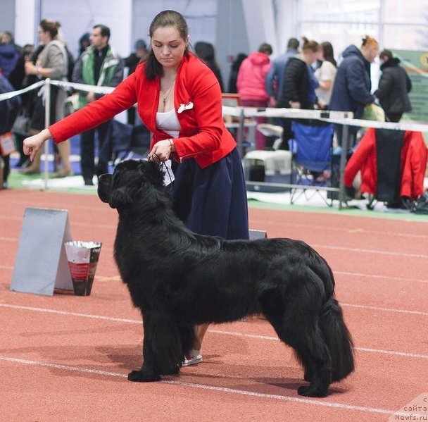 Фотография № 240338