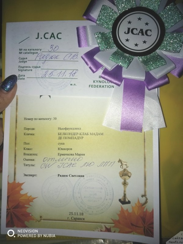 Фотография № 240340