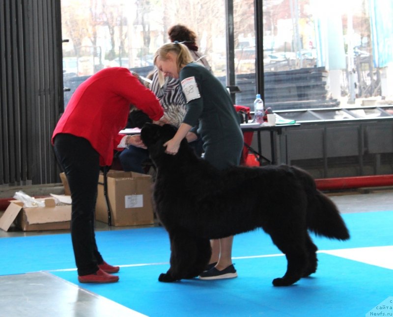 Фотография № 240342