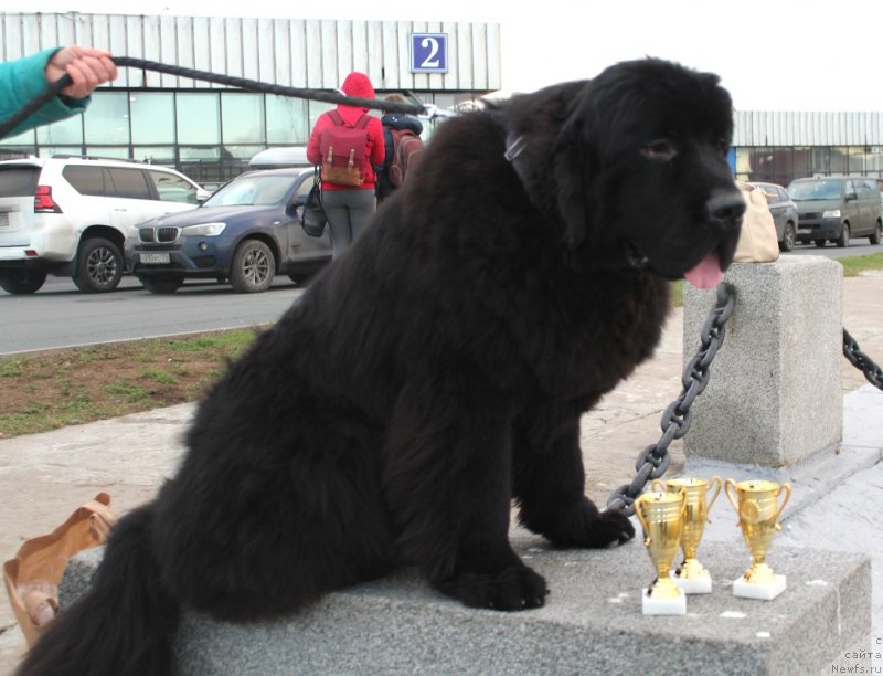 Фотография № 240343